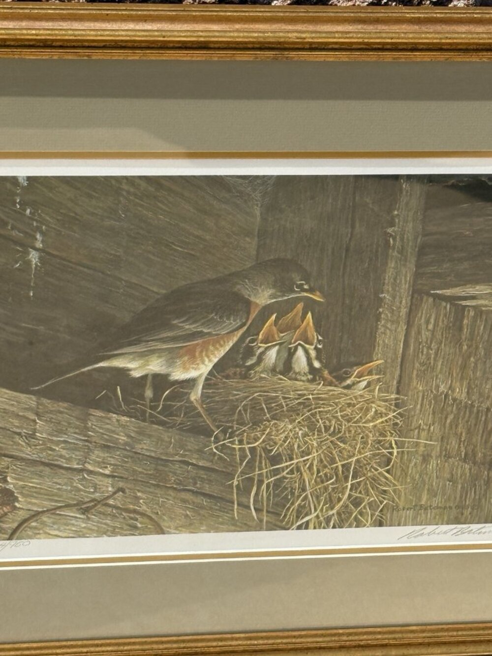 Robins At The Nest Robert Bateman Art Print Framed 564/950